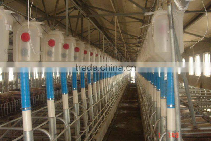pig farming equipment pig feeders