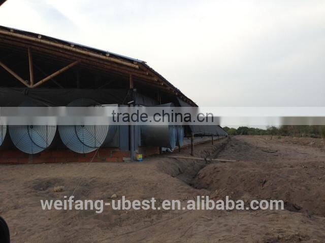 Turnkey project broiler poultry shed design