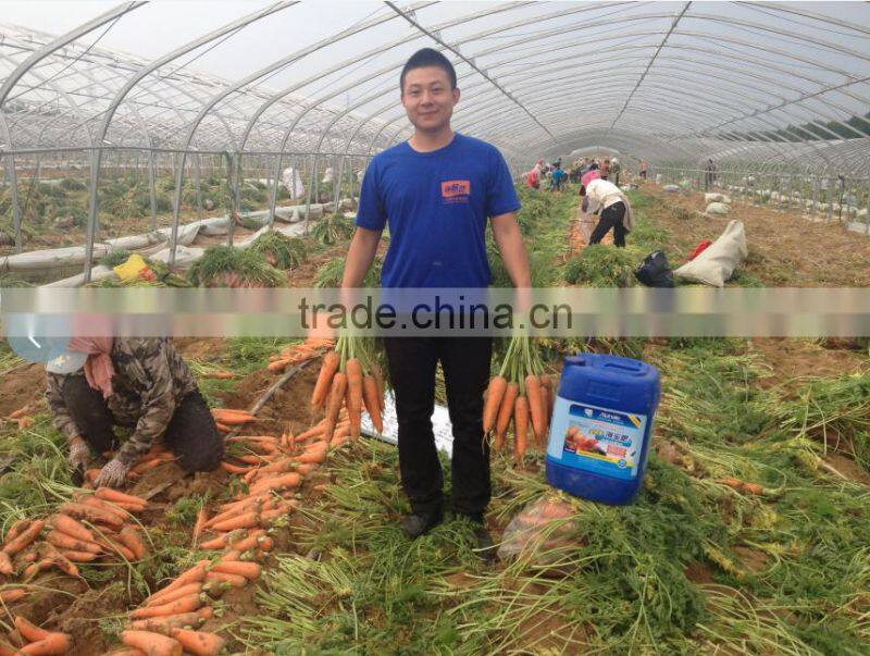 Best quality and price bio organic fertilizer