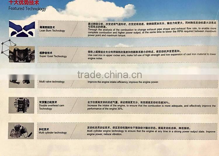 Chinese Cheap CVT 300cc Engine Motor Automatic Transmission Water cooled 4 Valves Manual start For ATV