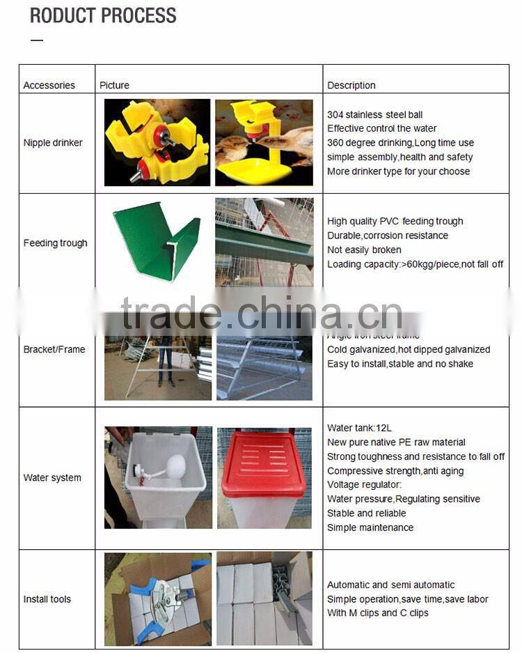 30 Years' factory supply automatic chicken broiler cages