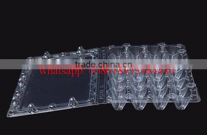 24 Holes rectangular clear transparent plastic quail egg cartons, plastic quail packing tray 24eggs