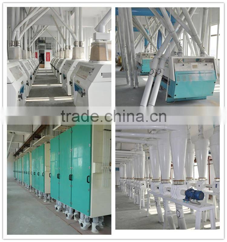 Broad bean processing machine / plant / line