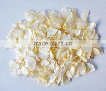 Continuous Hot Air Fruit Apple Slice Cubes Herb Drying Machine Belt Dryer