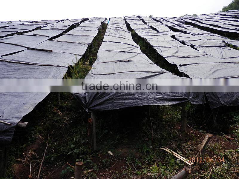 high quality china plastic pe tarpaulin supplier