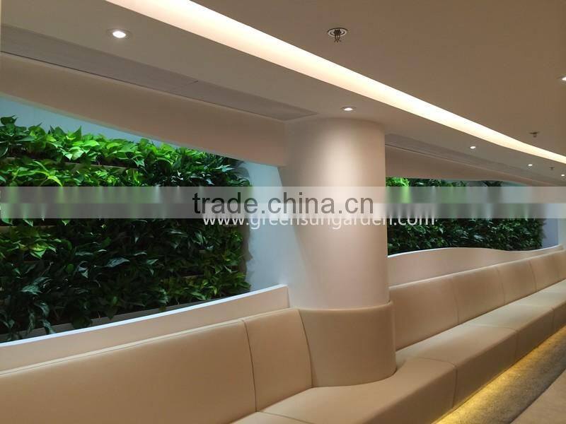 plastic garden structure wholesale hydroponic greenhouse