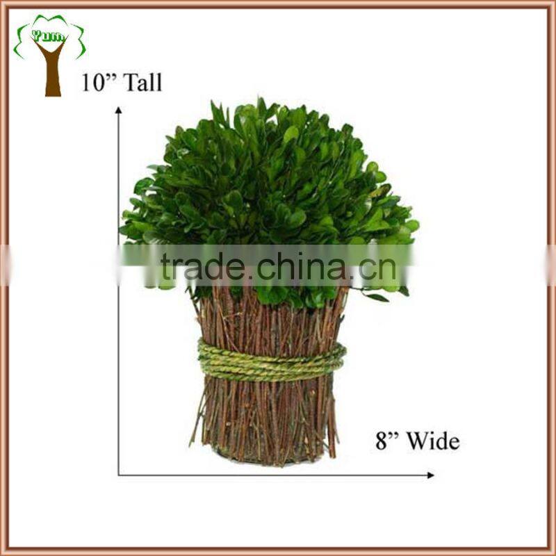 preserved boxwood bundle