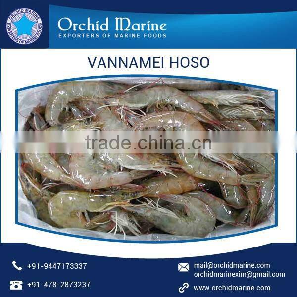 Bulk Exporter of High Quality Vannamei Shrimp HOSO