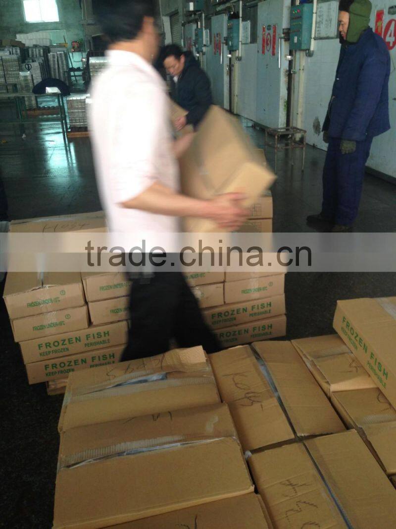 Good quality frozen round scad 10-12pcs/kg