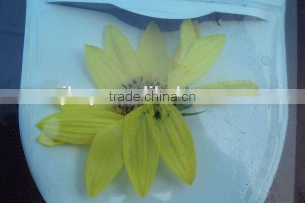 2015 inventive magnetic tax disc holder with 4c UV printing