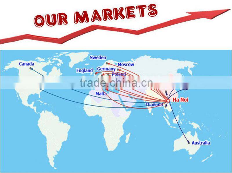 Vietnam PP woven bags/sacks