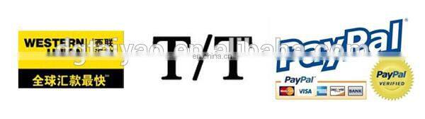 Souvenir coins/ challenge coin/ Metal Coin