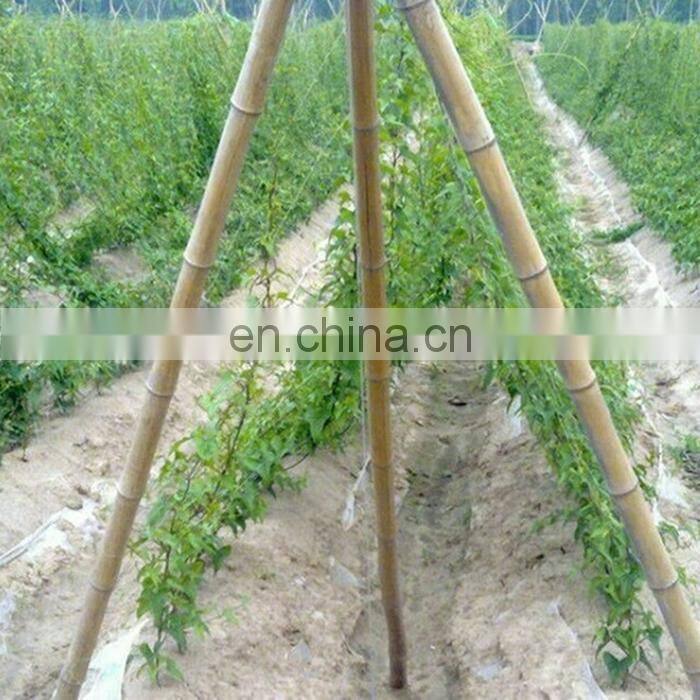 18x18cm square trellis netting/2x60m cucumber climbing mesh plant support net