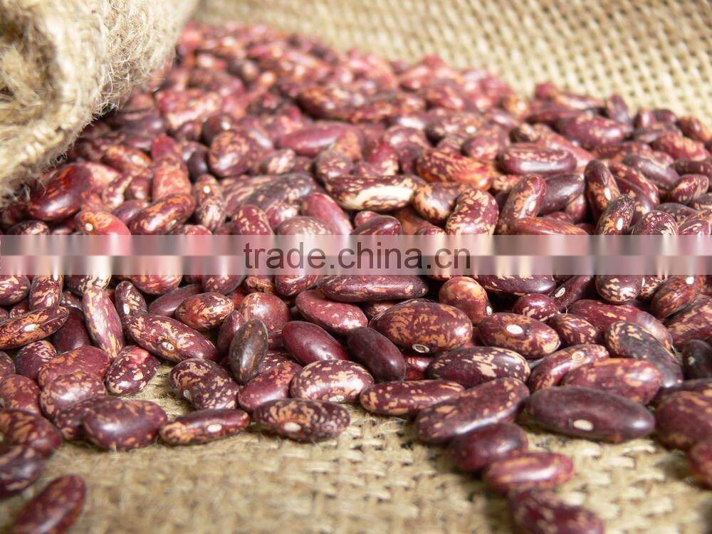 Purple Speckled Kidney Beans, 180-200, 200-220/100gr