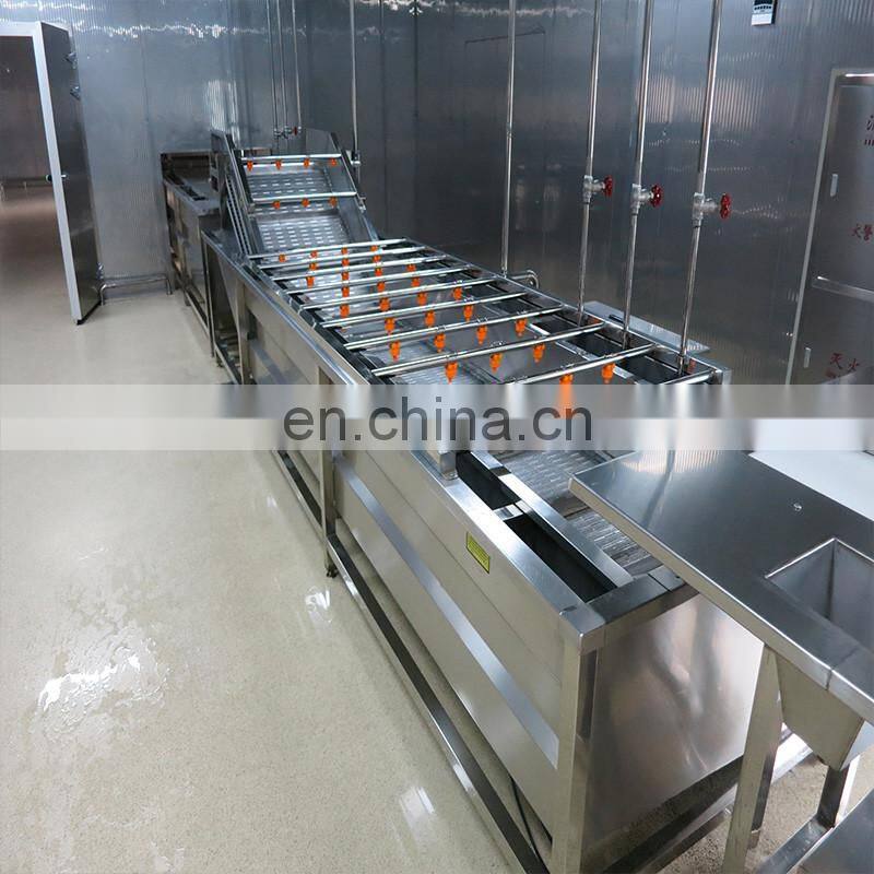 Industry Ultrasonic Fruit Processing Line Fruit Washer / Vegetable Washing Machine