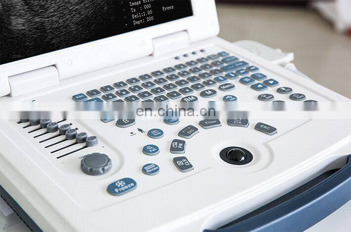 HC-A003VET Animal Portable Price Dog Veterinary Ultrasound scanner Machine for Cows