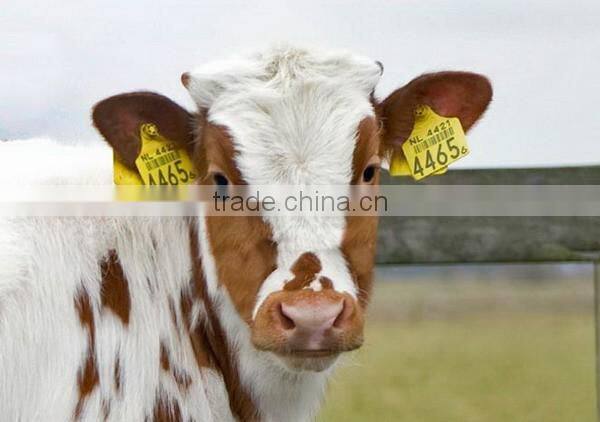 MDE100 Rfid animal ear tag for tracking