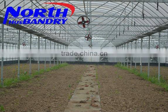 Commercial Greenhouse for agriculture