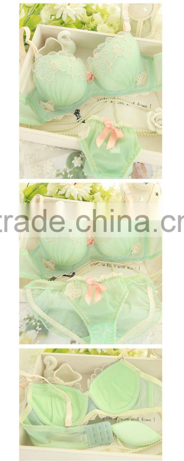 Lace Embroidery Transparent Underwear Bra