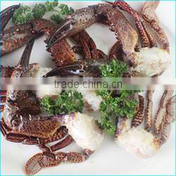 HL0088 Healthy frozen whole round squid