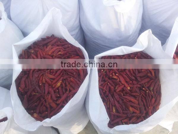 indian dry red chilli