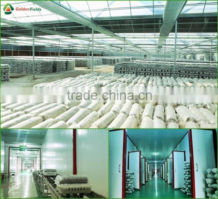 Black Chinese Mushrooms,Shitake Mushrooms Health Benefits,Growing Shitake Mushrooms