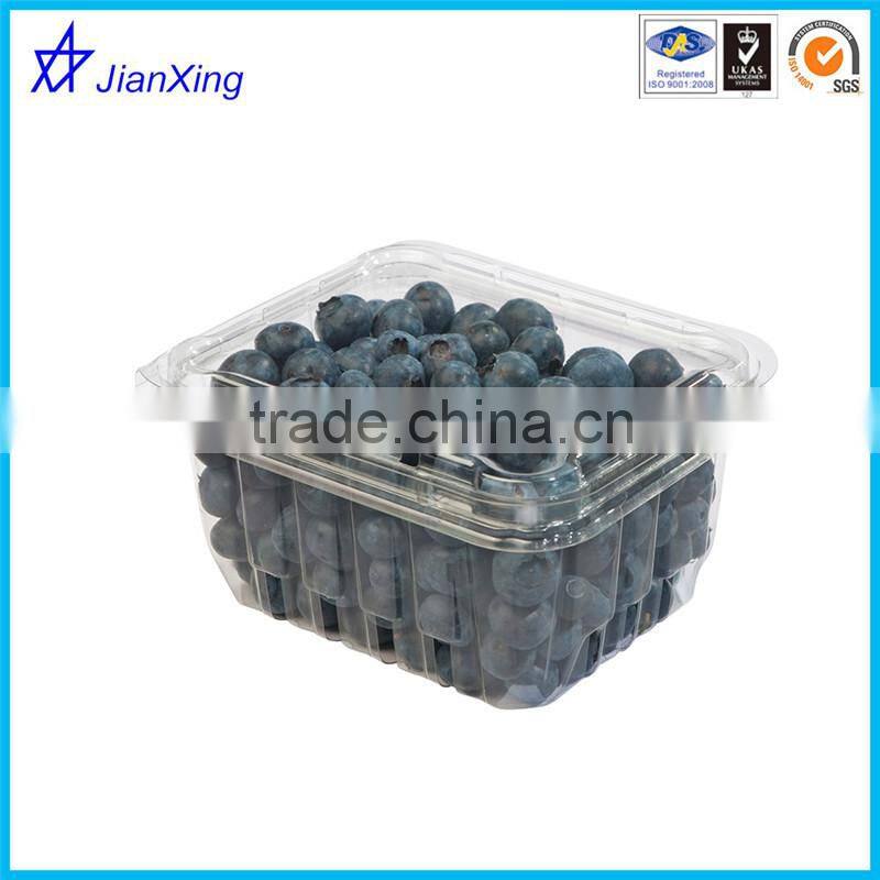 BPA FREE plastic disposable fresh strawberry fruit packaging box