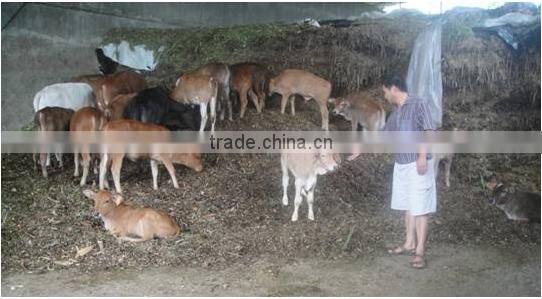 Silage bunding and coating machine for selling