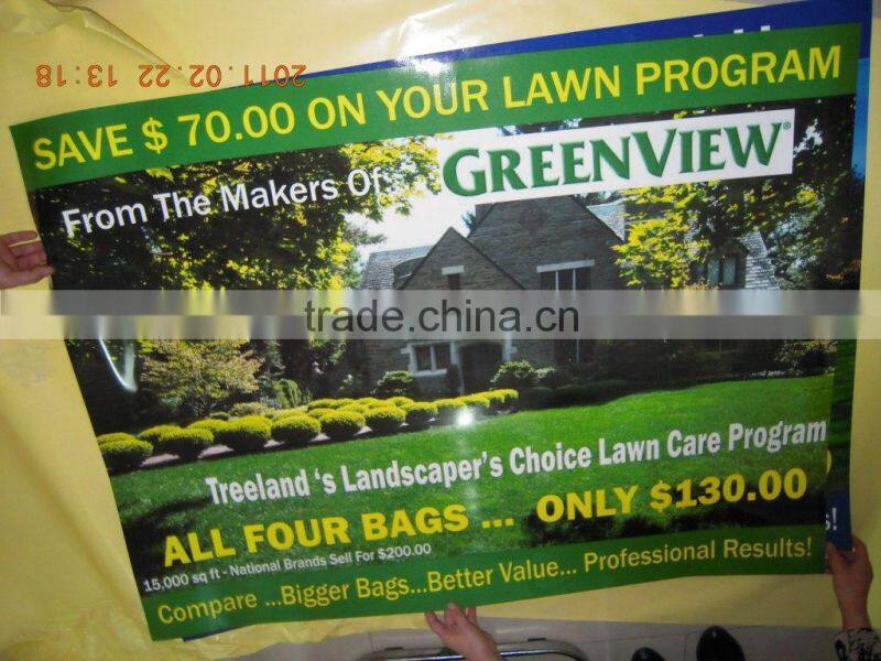 custom movice printing poster