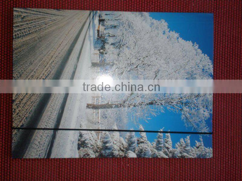 PP file folder with elastic band