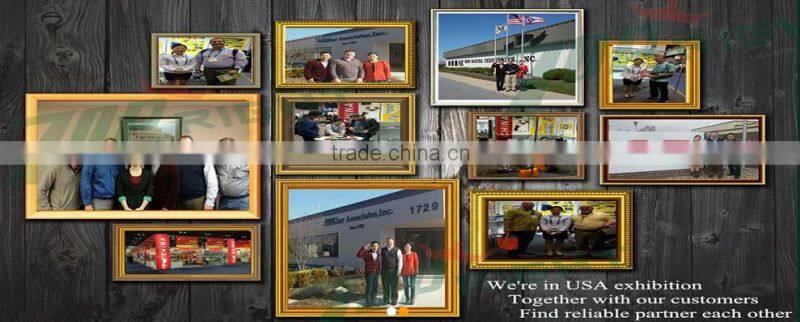 12V Polyimide Flexible Transparent Membrane Thermo Foil Heater Heating Film