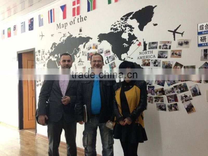 automatic price coffee power bag packing machine