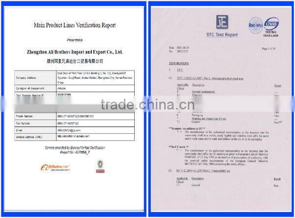 Remote Control walking with dinosaurs plush