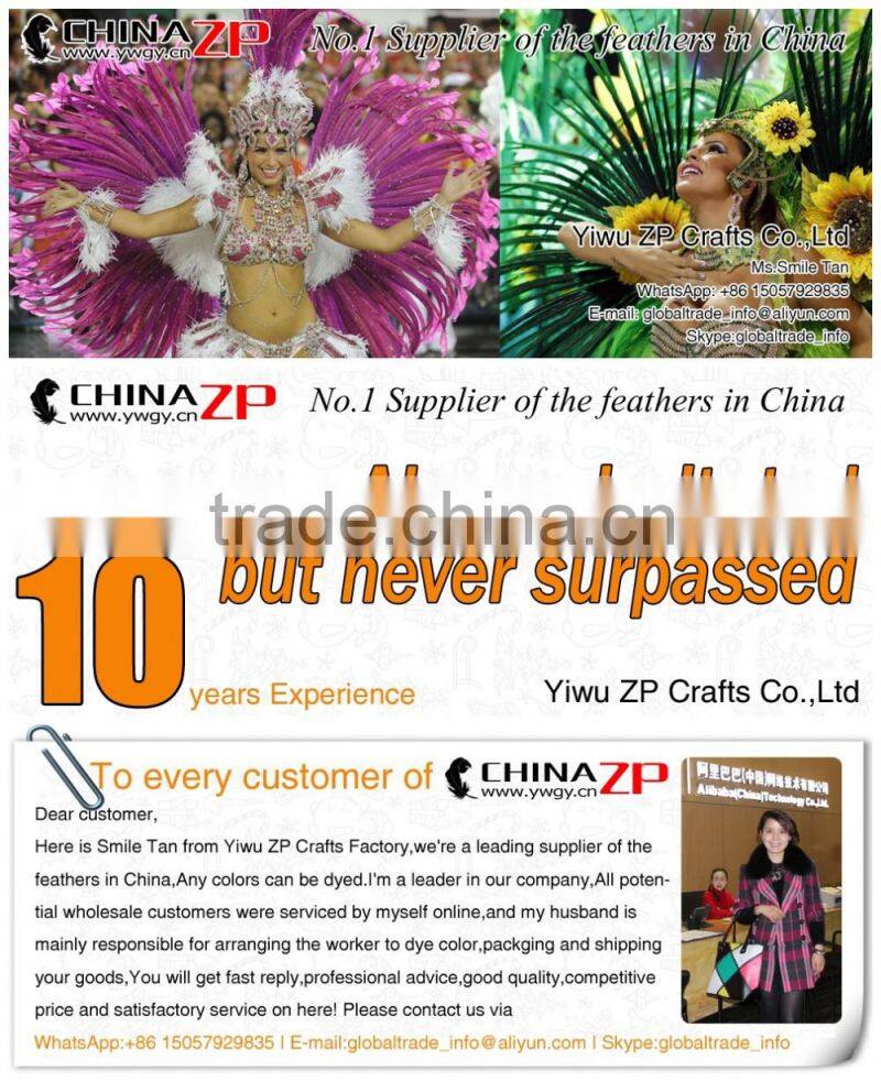 ZPDECOR Factory Wholesale Leading Selling Natural 15cm-20cm Golden Pheasant Tail Feathers for Carnivals