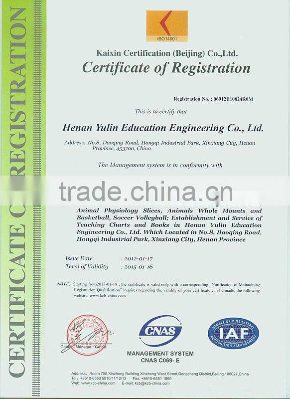 insect specimens,laboratory preserved specimen,50 kinds Chinese butterflies specimen for scientific research, teaching