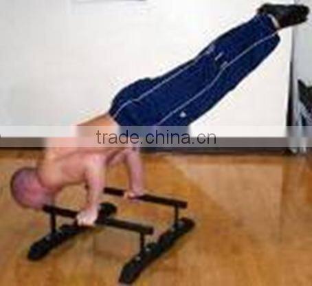 Parralette Push Up Bar