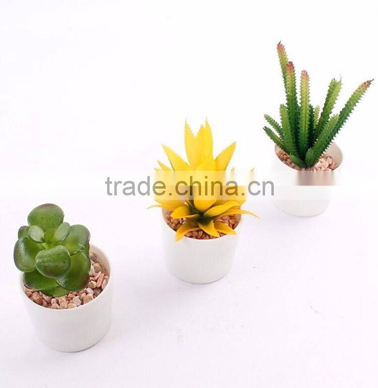 fake plant succulent plants with plot
