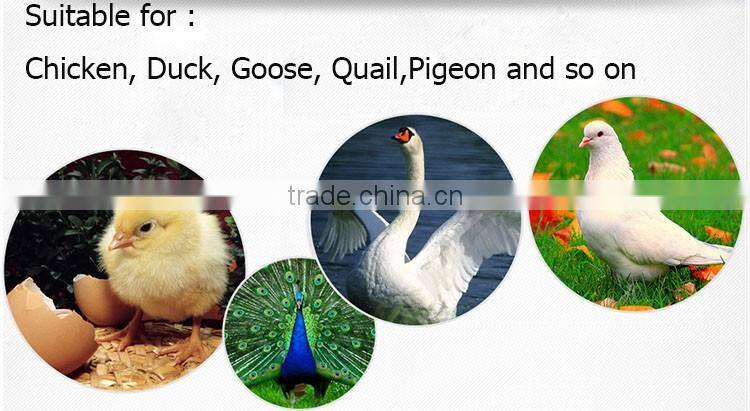 fully automatic mini egg incubator for eggs price in China WQ-196