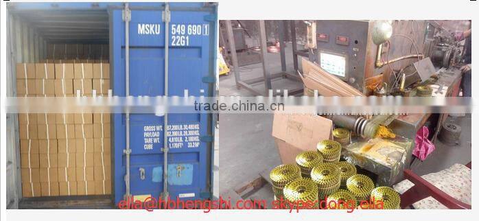 High Quality Coil Nail/Pallet Coil Nail