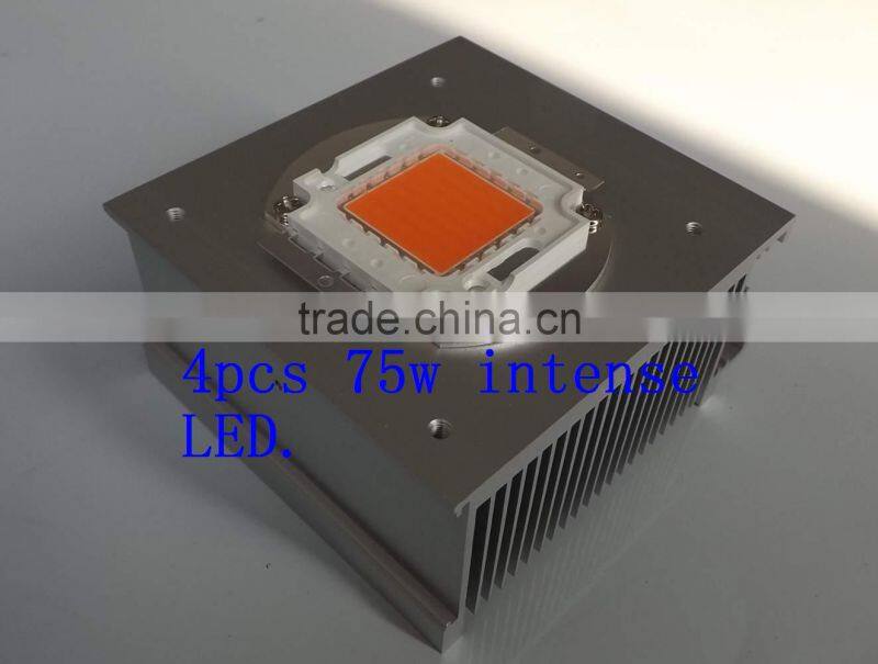 Vanq classical 8years 300W COB LED grow light for hydroponic systems