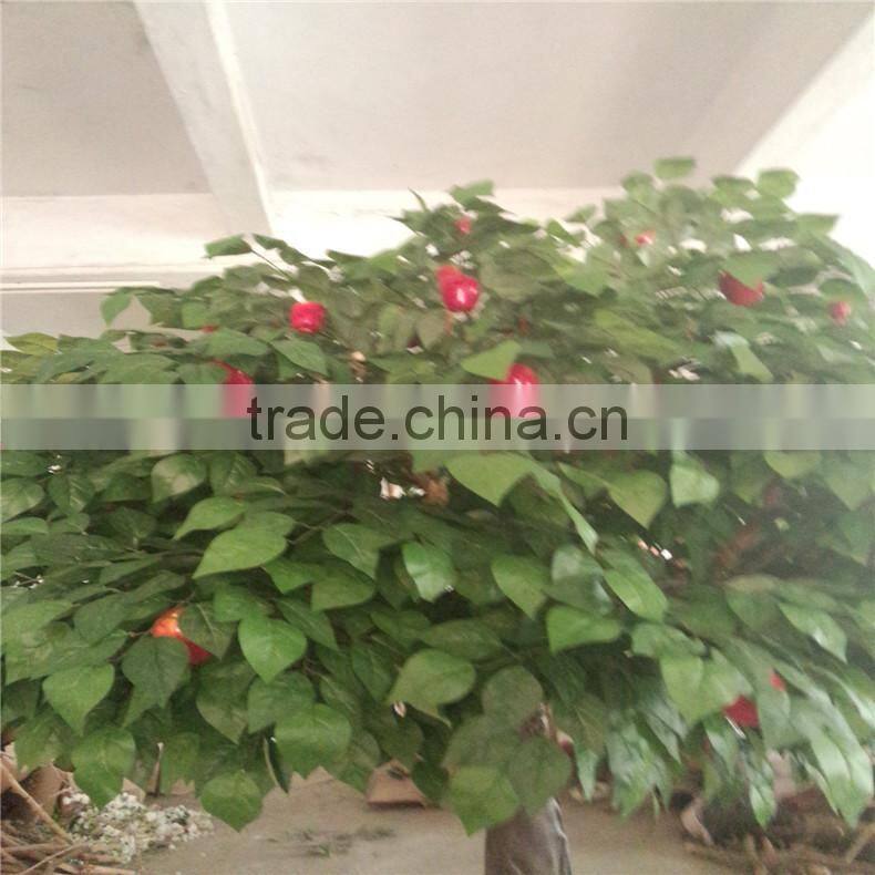 SJ Making artificial apple fruit tree , fake apple tree ,decorative apple tree