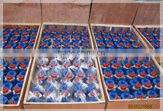 BS750 type II fire hydrant