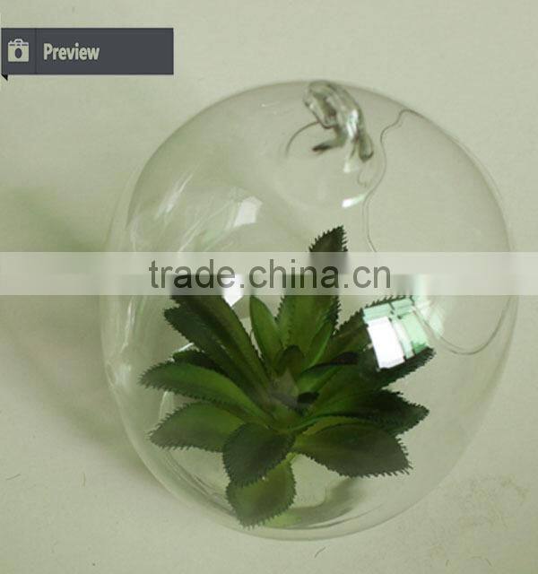 New home decor succulent art craft mini terrarium succulent plant