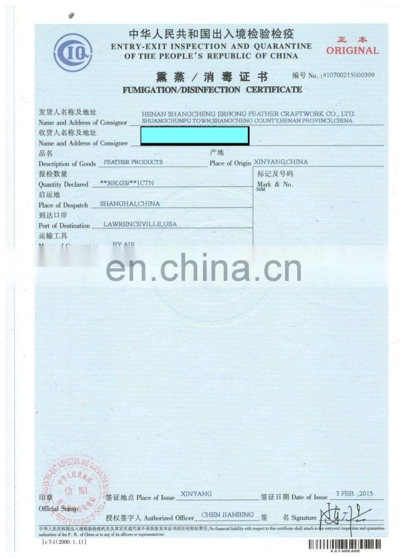 white masquerade party mask with cock feather