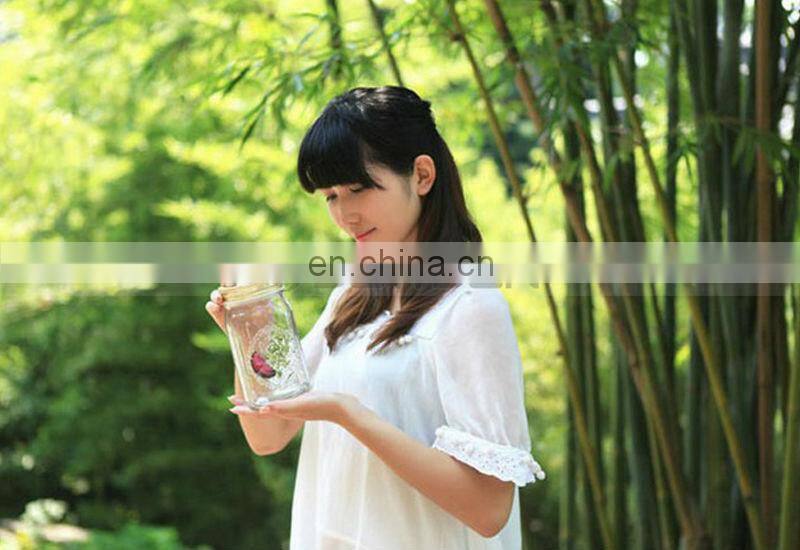 Artificial Wings Fluttering Butterfly Jar