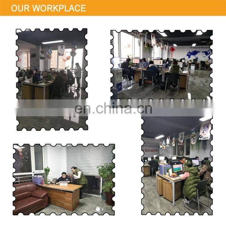 Canada Market Galvanized Steel Temporary Fence for Sale