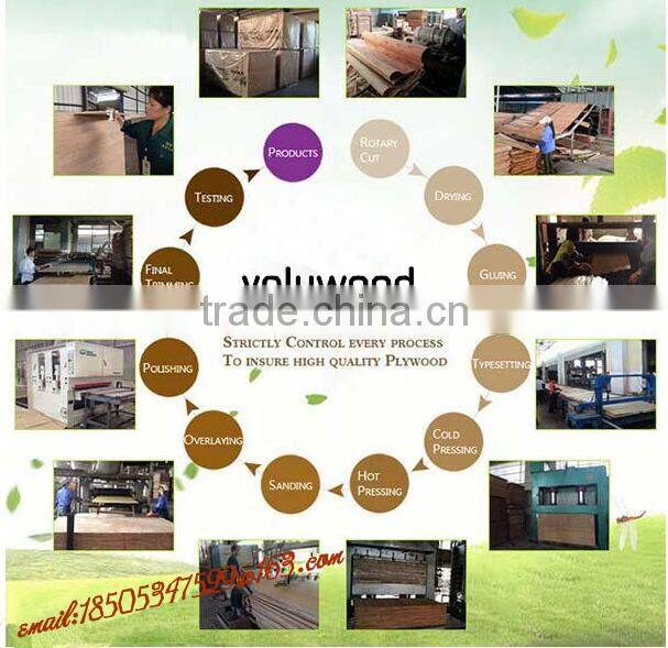 Factory Direct Sale Packaging Plywood