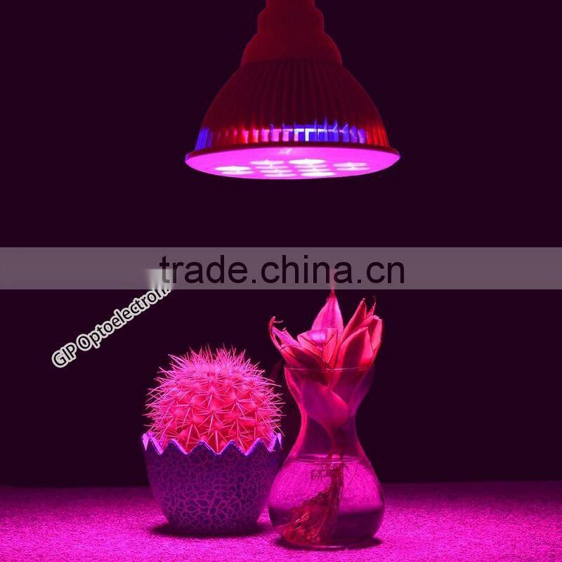 seeds coca LED Grow lamp for green house