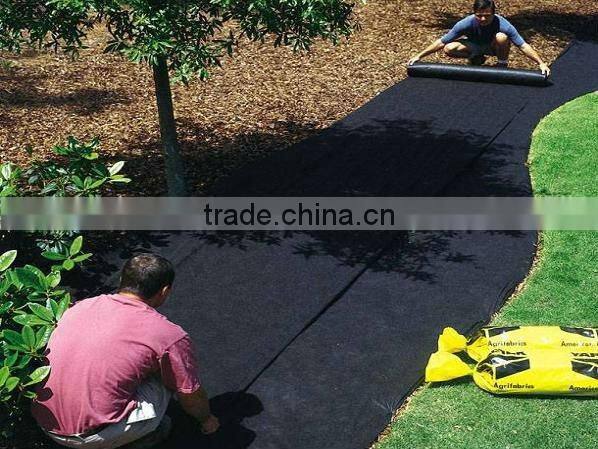 Foreign customer visit our factory for pp nonwoven fabric