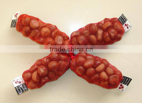 New Chinese Simmondsia chinensis